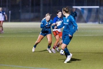 Bild 157 - F SC Alstertal-Langenhorn - Hamburger SV 3 : Ergebnis: 2:2